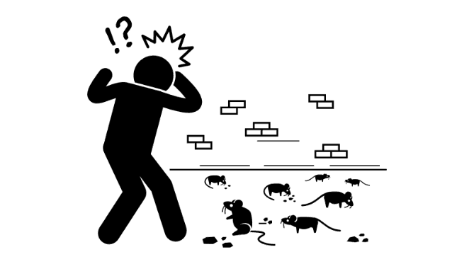 Animals and Birds Product Category Icon Link