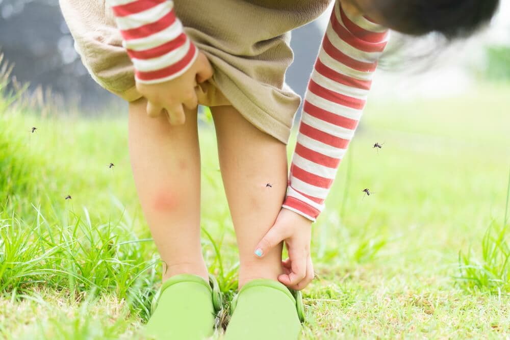 Do ultrasonic pest repellers work on mosquitoes?