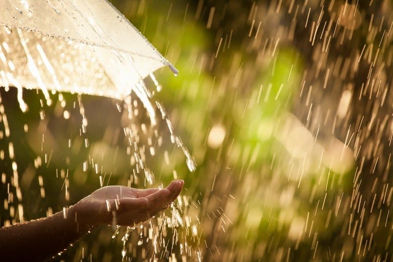 Can bug zapper be left in the rain?