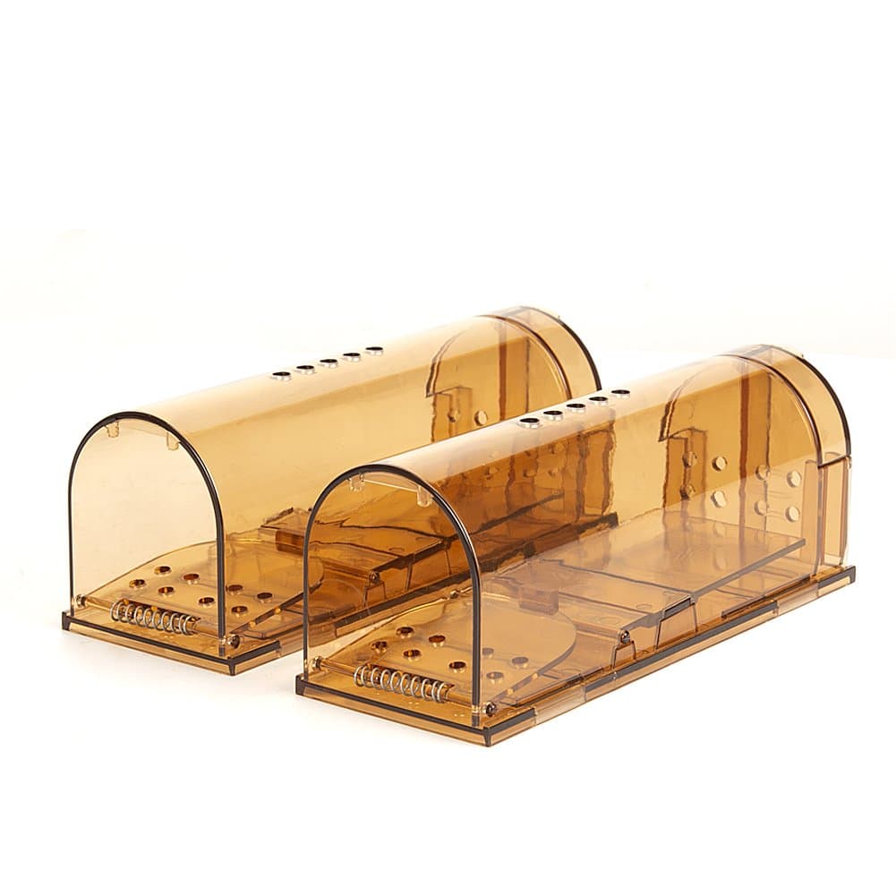 How well do humane mouse traps work?