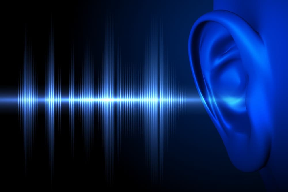 Why Can You Hear Your Ultrasonic Pest Repeller?
