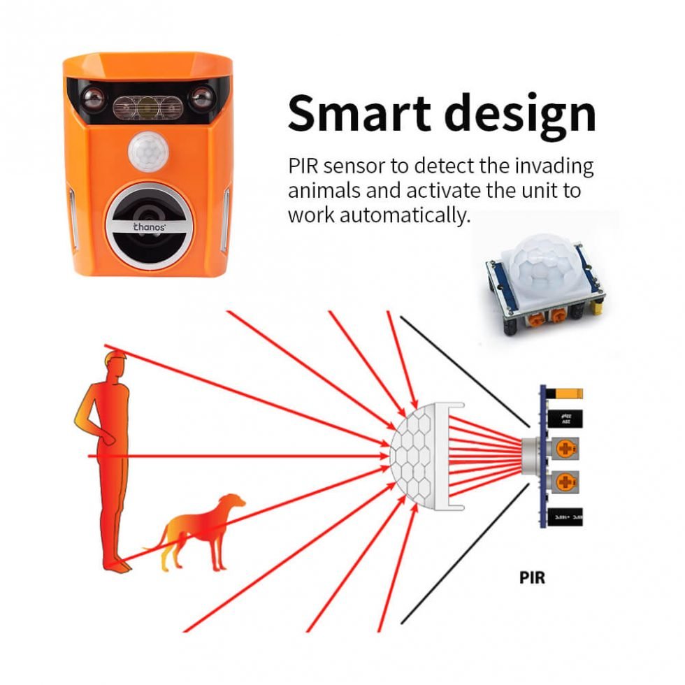 Do ultrasonic animal repellers work on coyotes? Thanos Home