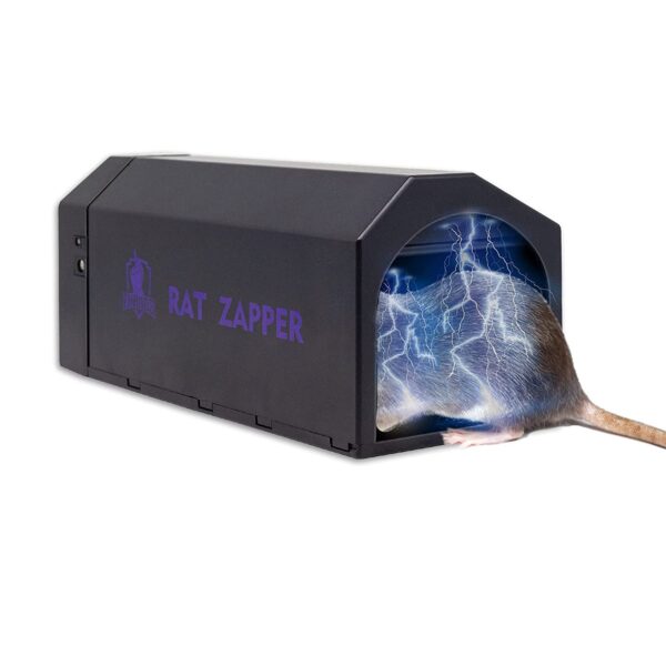electronic rat trap