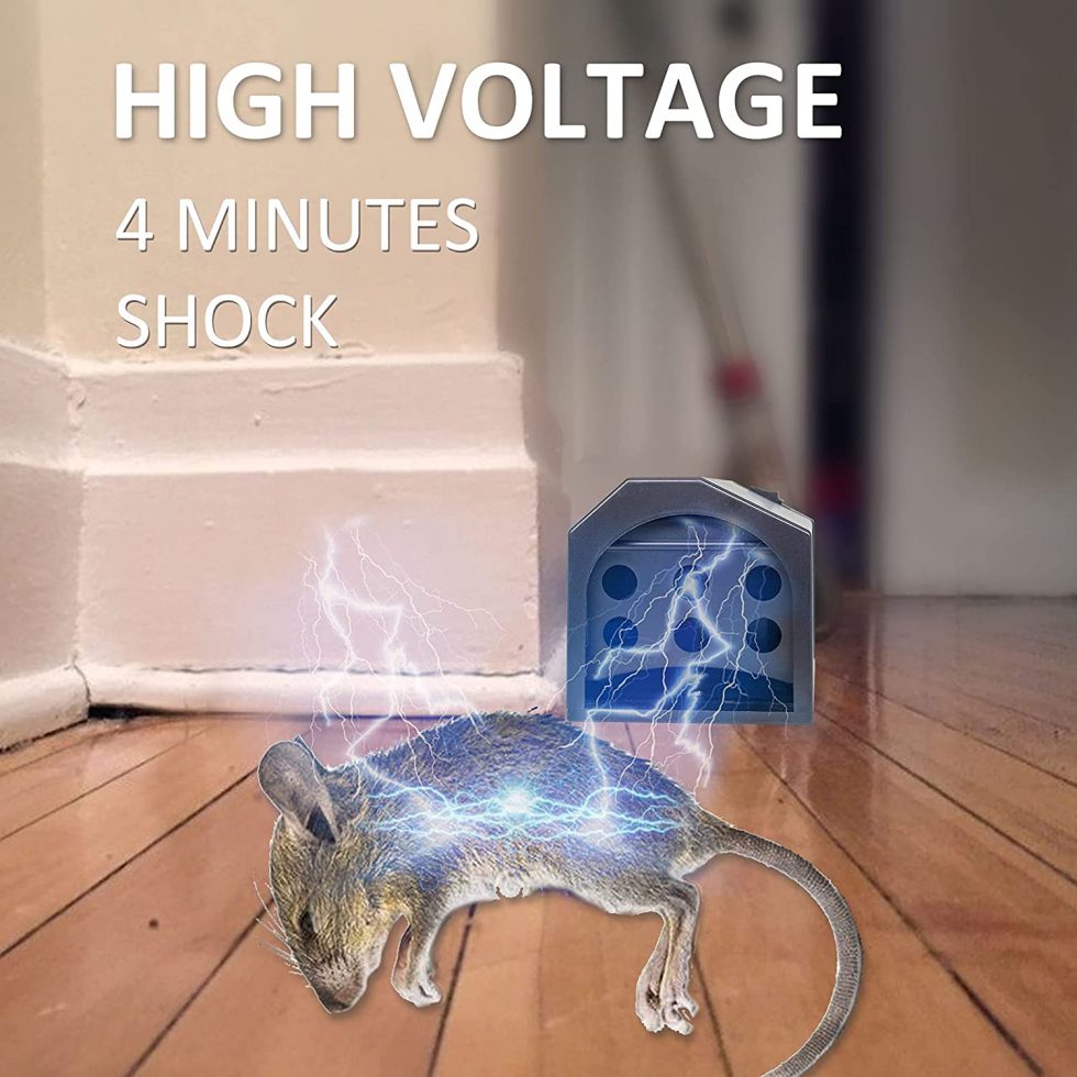What Voltage Do Electronic Mouse Traps Use? Thanos Home