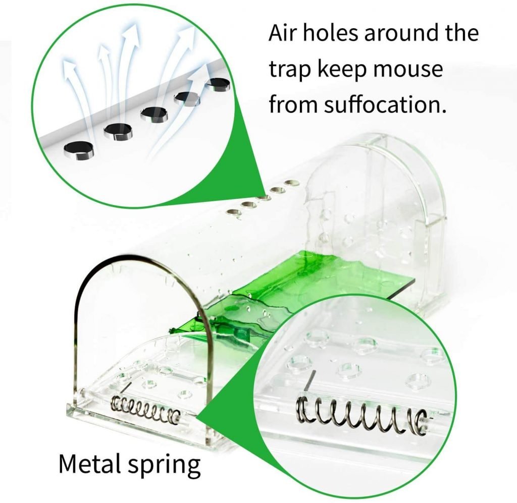 Do Humane Mouse Traps Work? Thanos Home