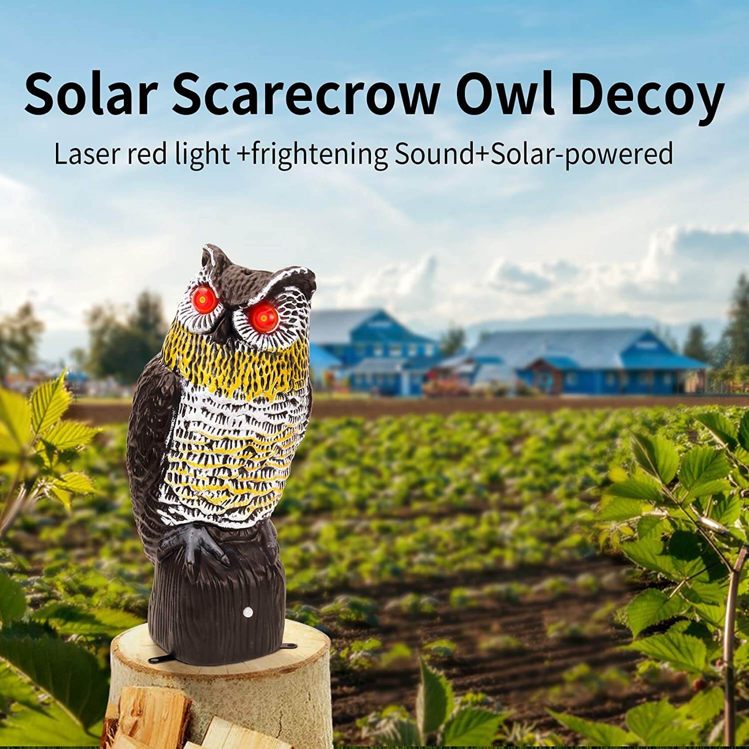 owl decoy