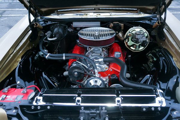 rodent repellent for cars-2