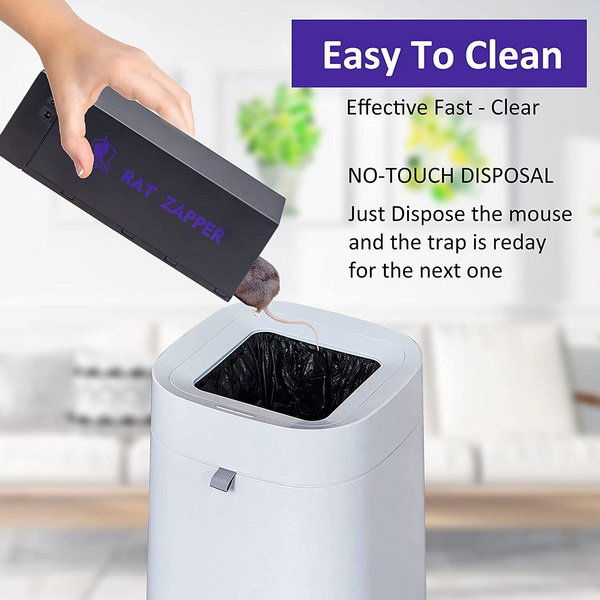 get rid of rat-2