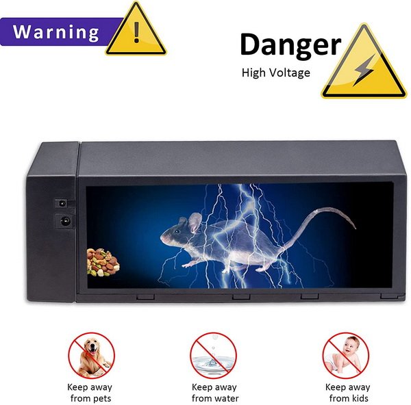 get rid of rat