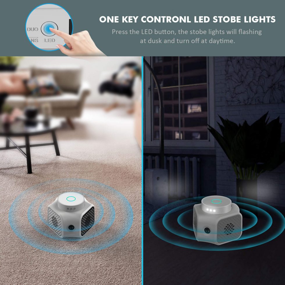 What Sound Frequency Repels Rodents? Thanos Home