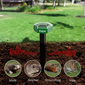 Do Coffee Grounds Repel Moles-2