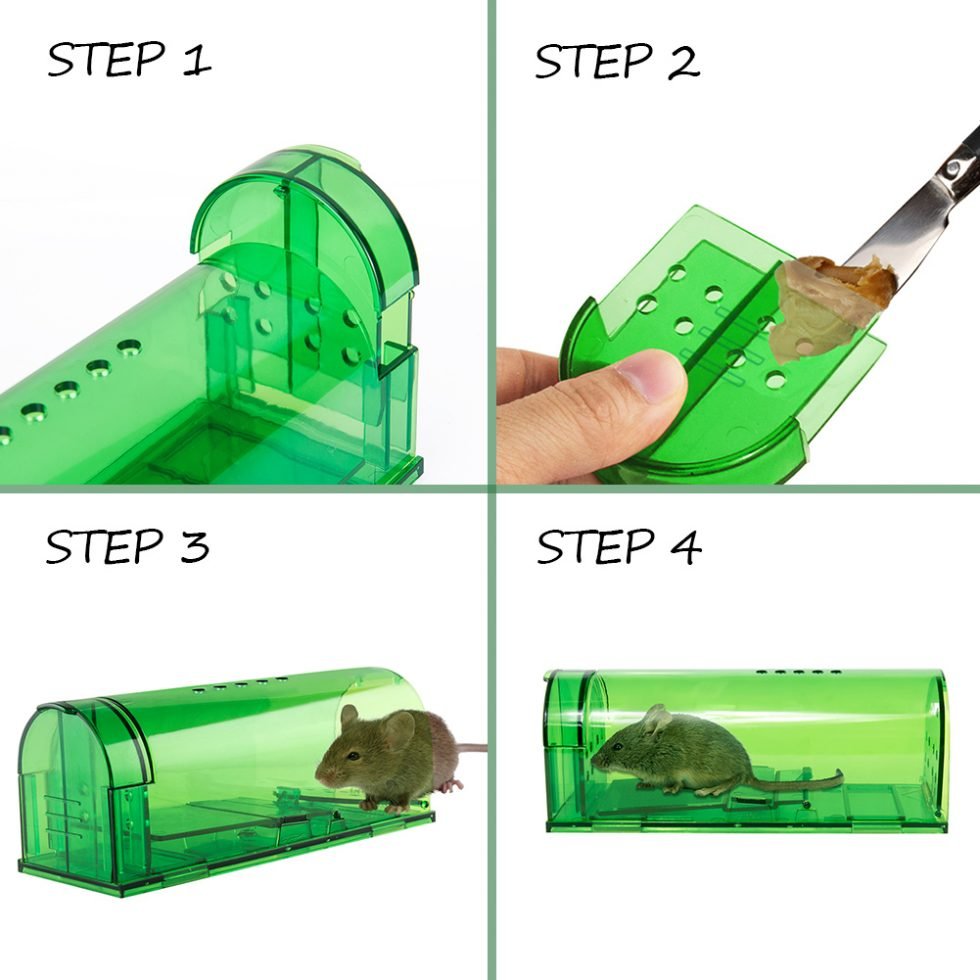 What are Humane Mouse Traps? Thanos Home