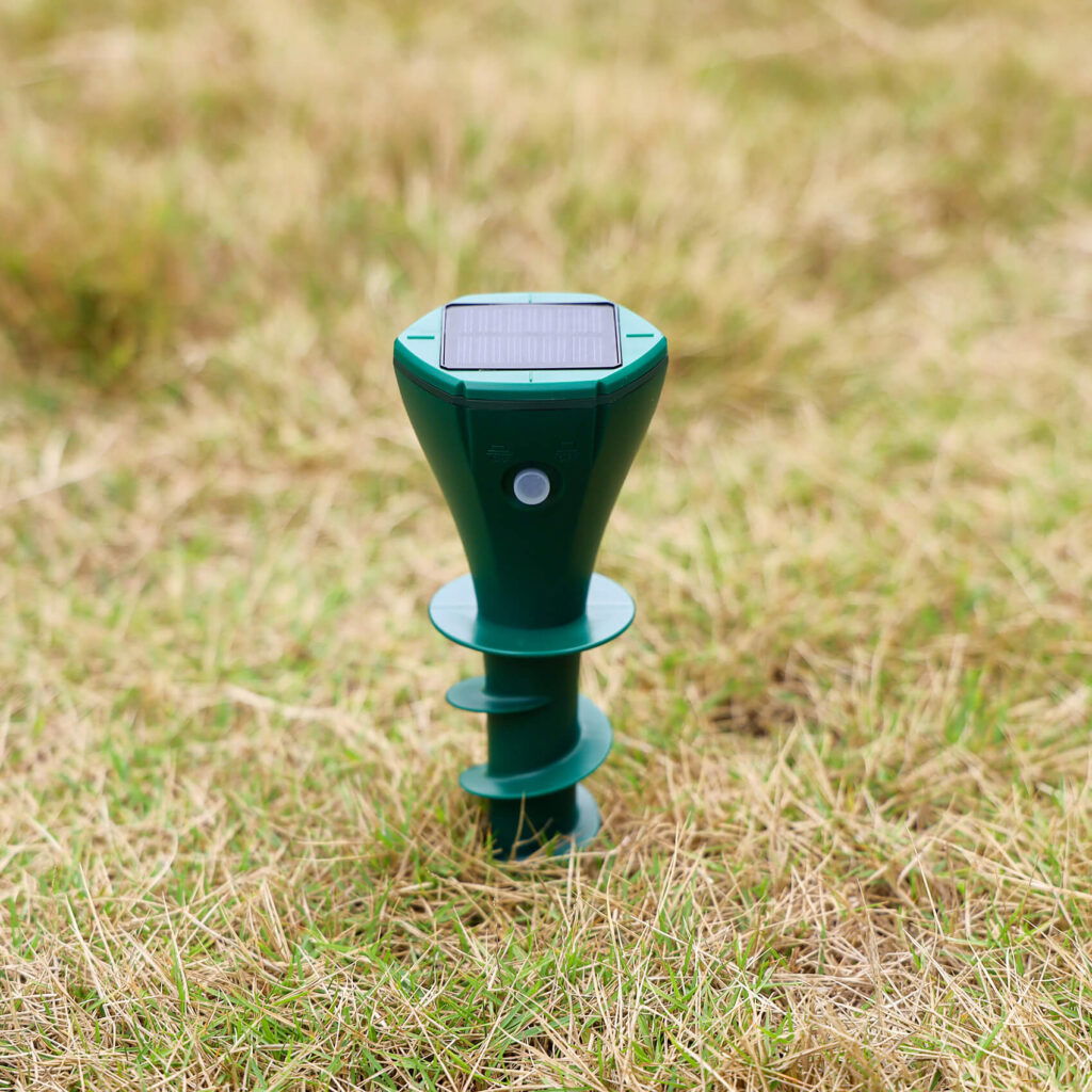Product photos
