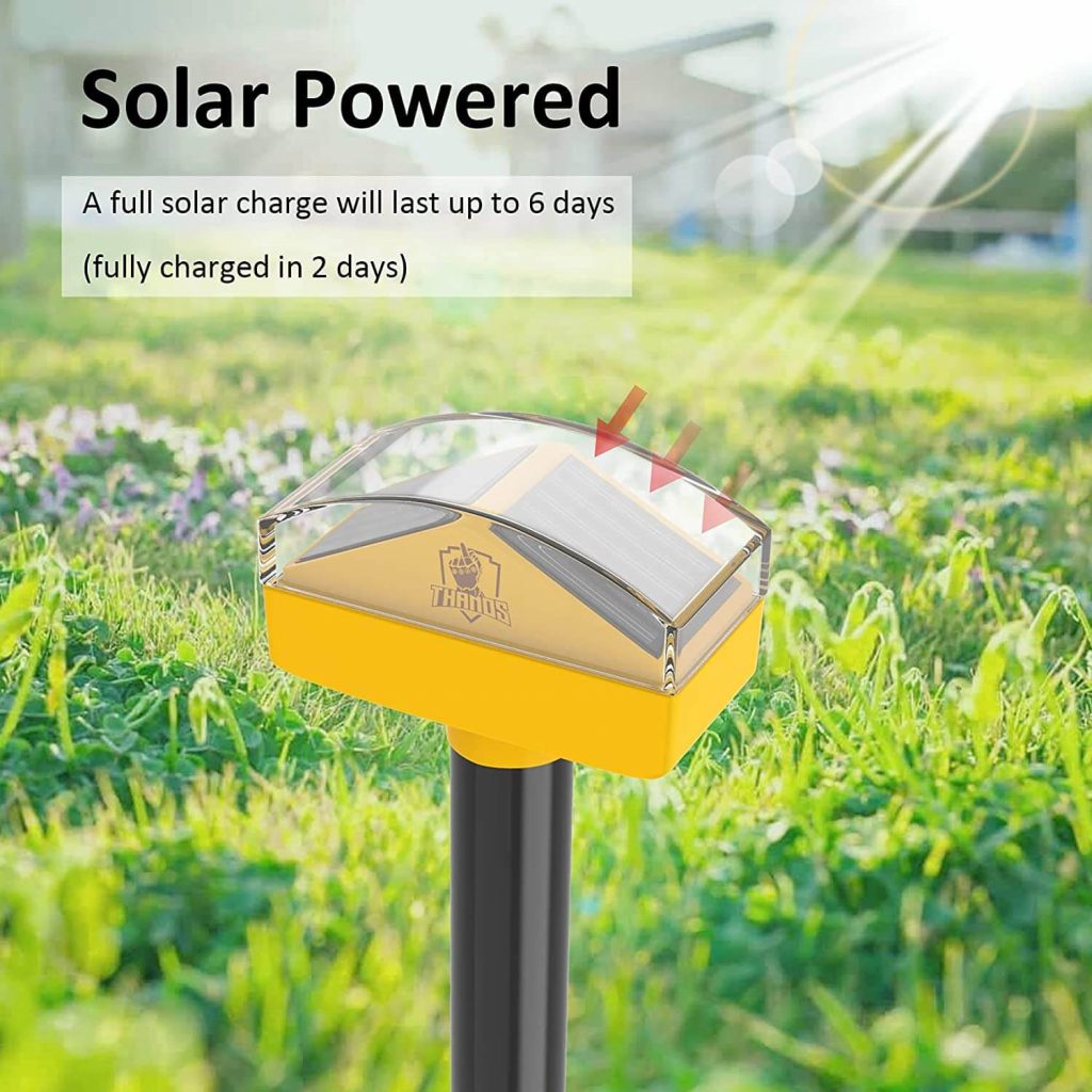 What Animals Does a Solar Mole Repeller Chase Away-1