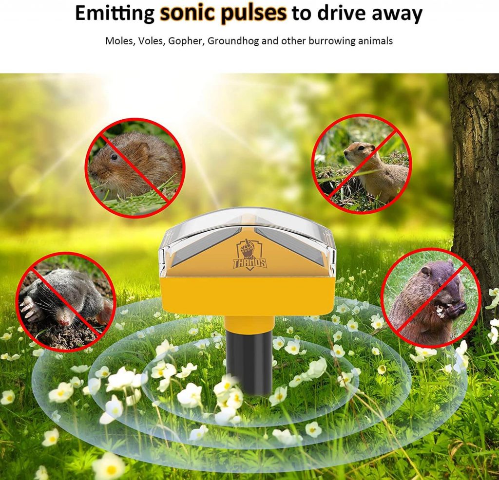 What Animals Does a Solar Mole Repeller Chase Away-2