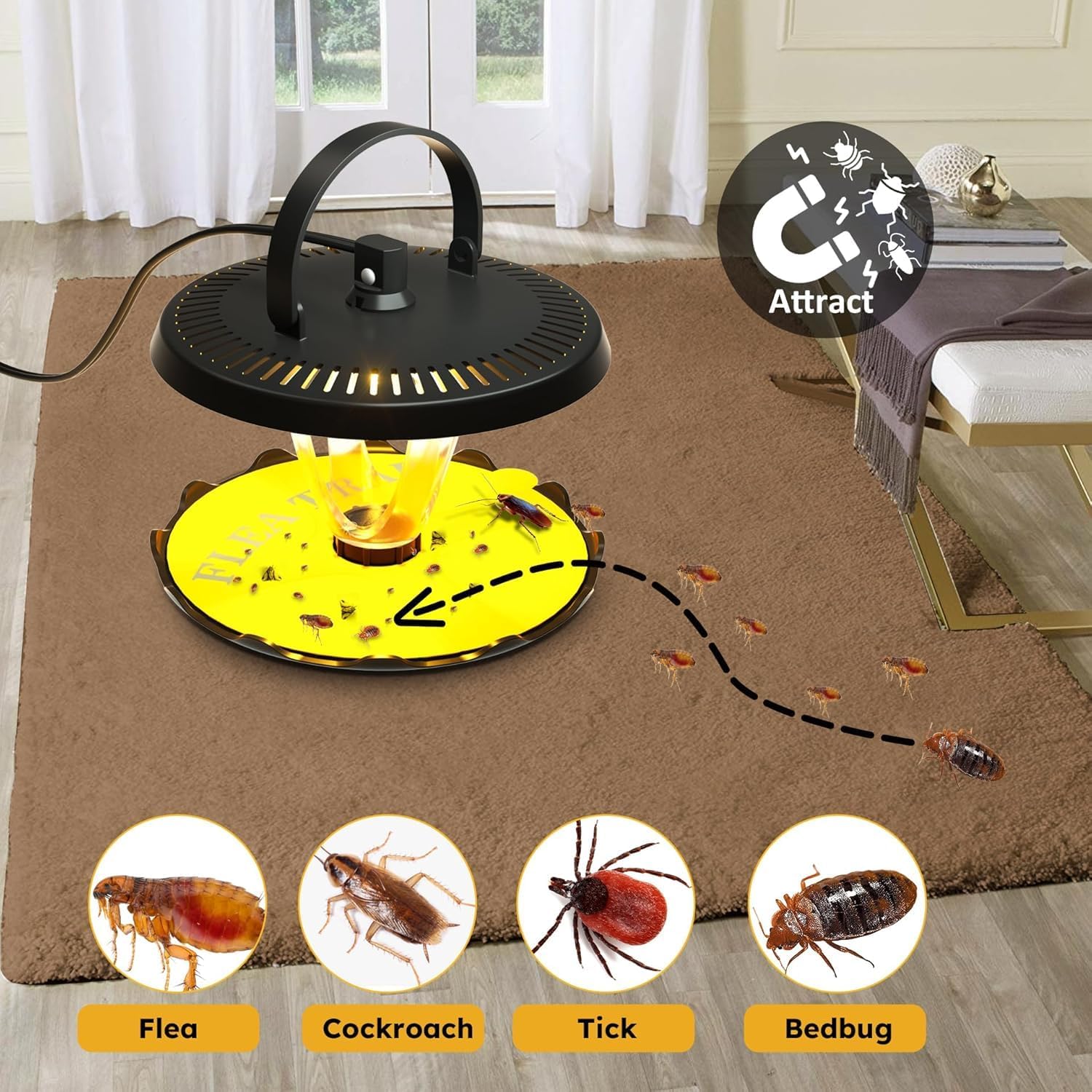 Do Glue Traps Catch Fleas-1
