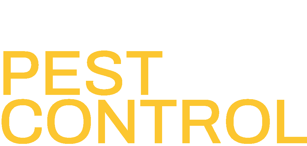 Logo with Inverted Palette