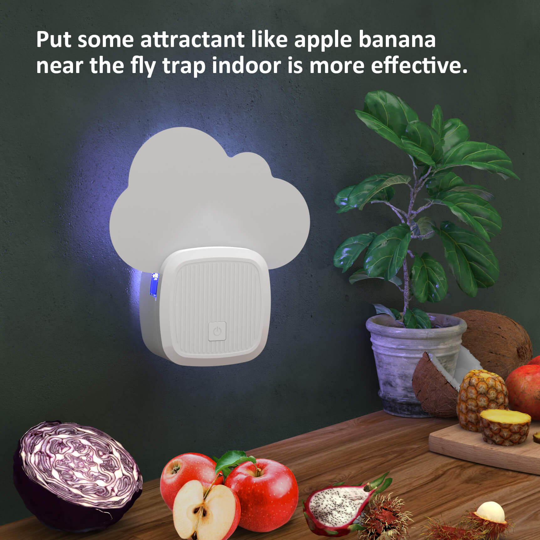 Indoor Fly trap
