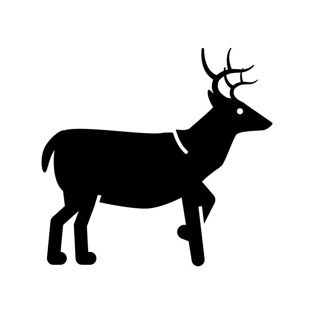 Larger Animals & Birds