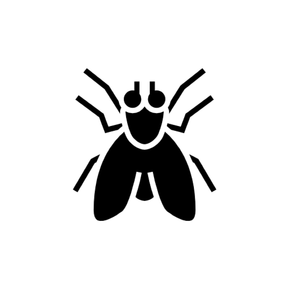 Insects & Creepy-Crawlies