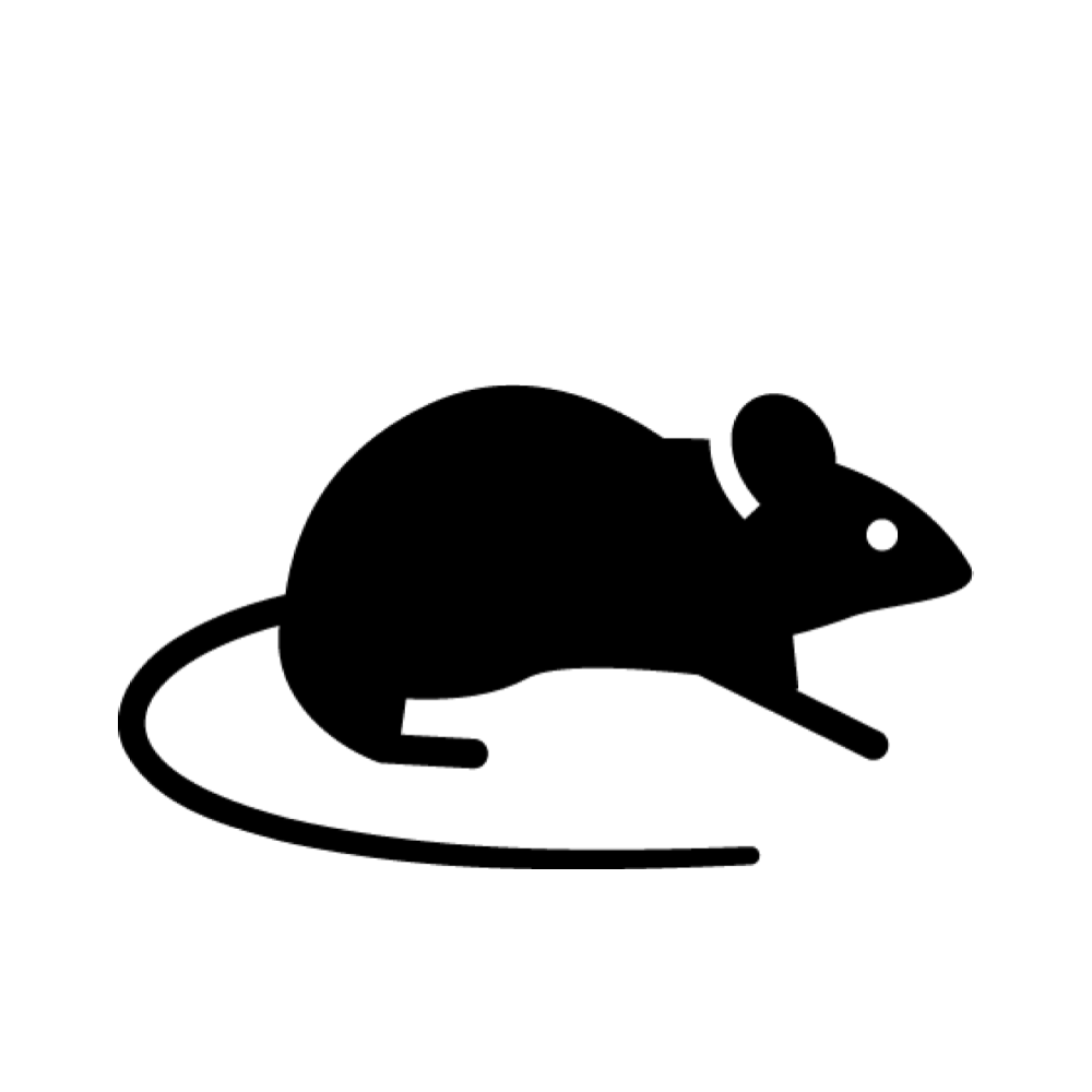 Rodents, Reptiles & Bats