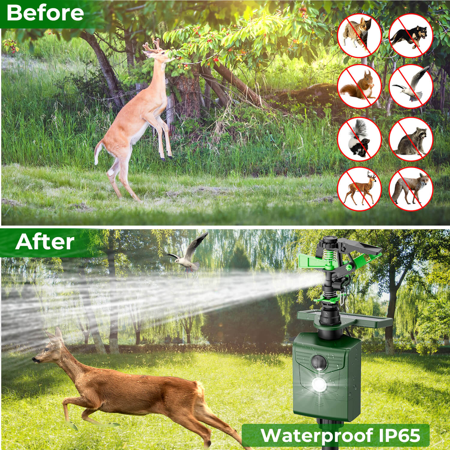 Motion Activated Sprinkler Animal Deterrent 